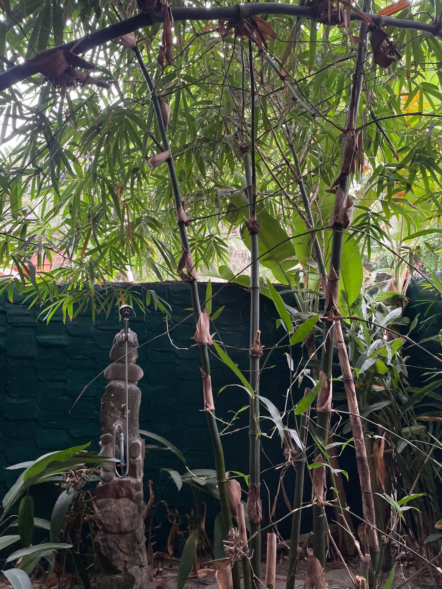 Yaiya Hostel & Smoothie Bar Kaoh Touch Exterior foto